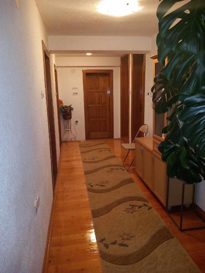 Apartment Little Village Plav Esterno foto